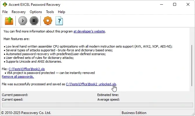 AccentEPR window after removing VBA password