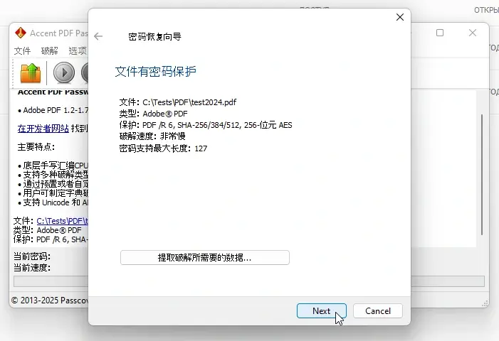 AccentPPR 窗口：显示 PDF 保护版本和加密算法信息
