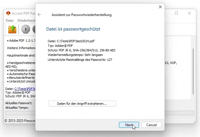 AccentPPR-Fenster mit Informationen zur PDF-Schutzversion und Verschlüsselungsalgorithmen